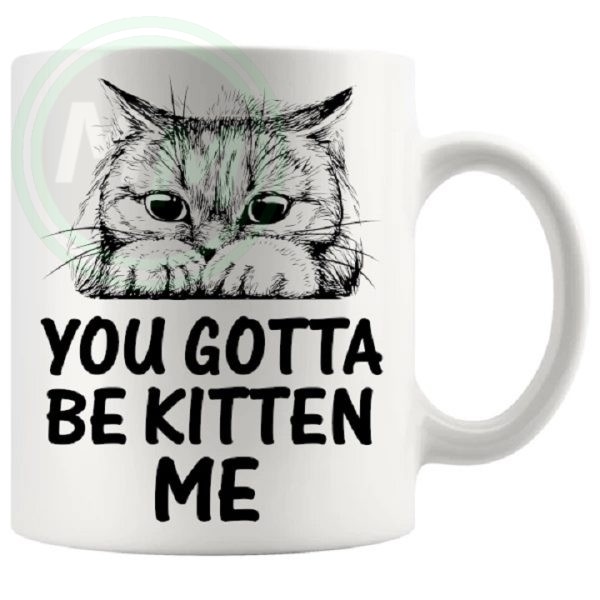 you gotta be kitten me mug