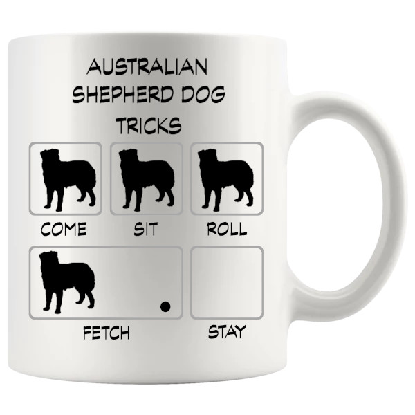 australian shepherd dog
