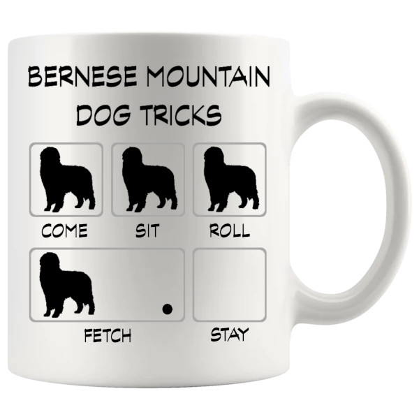 bernese mountain dog
