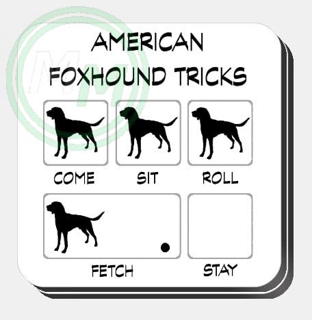 American Foxhound Tricks Novelty Gifts Mug B0CJ7W547C 2